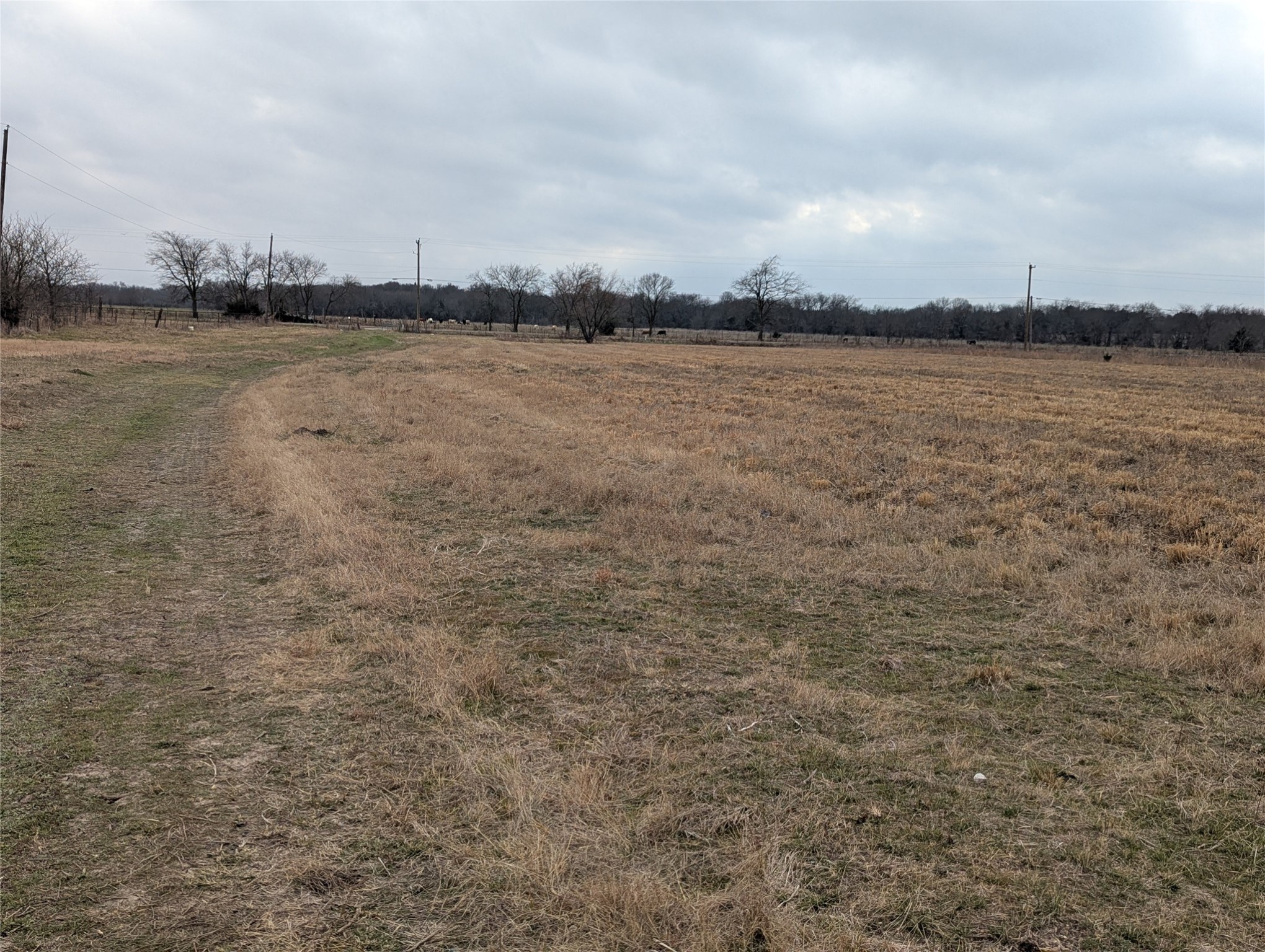 4701 Fm 512 Commerce TX 75428