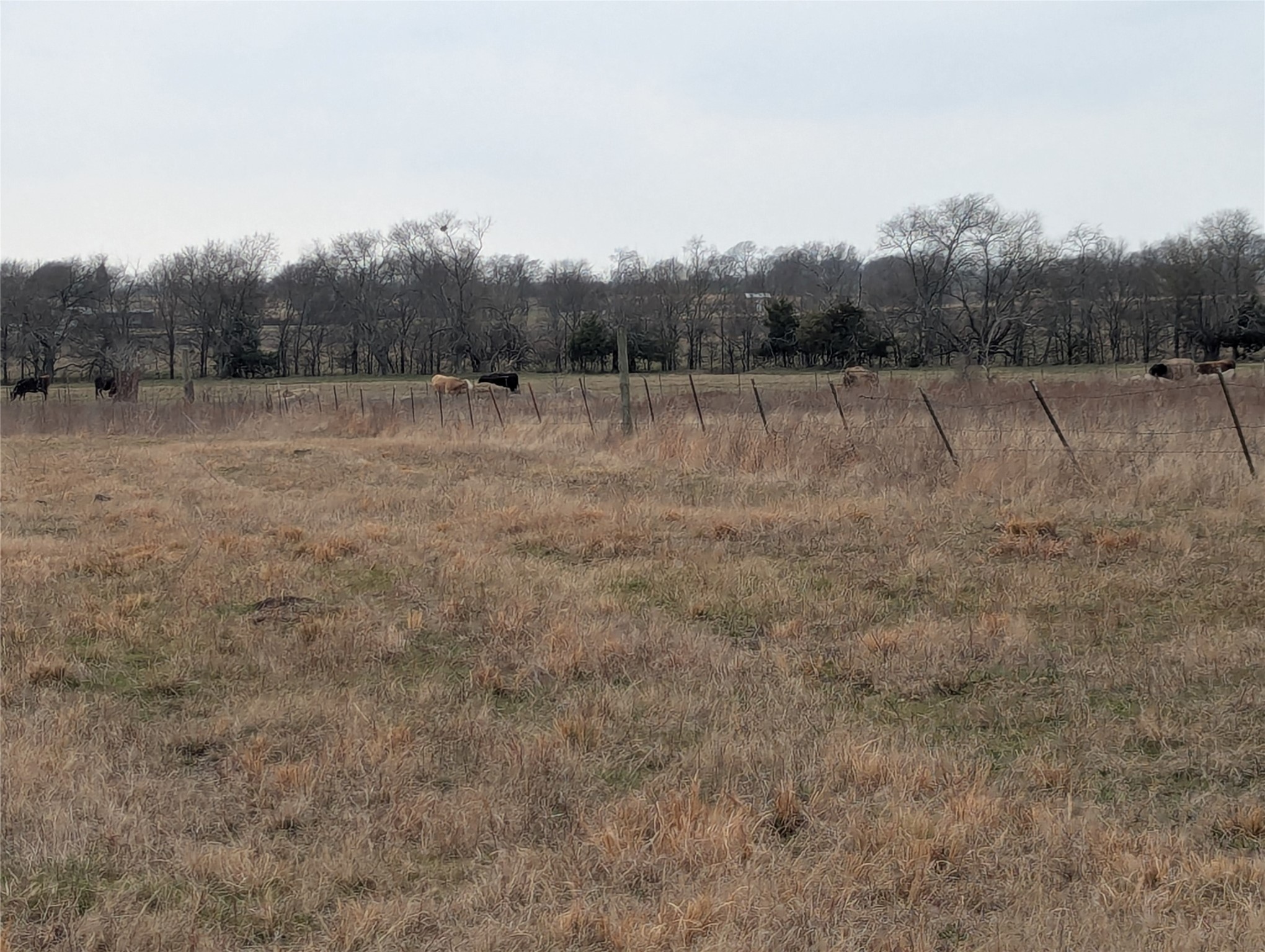 4701 Fm 512 Commerce TX 75428
