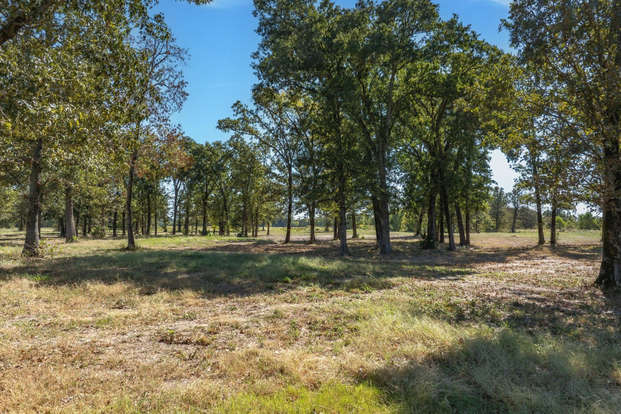 806 County Road 2918 Mineola TX 75410