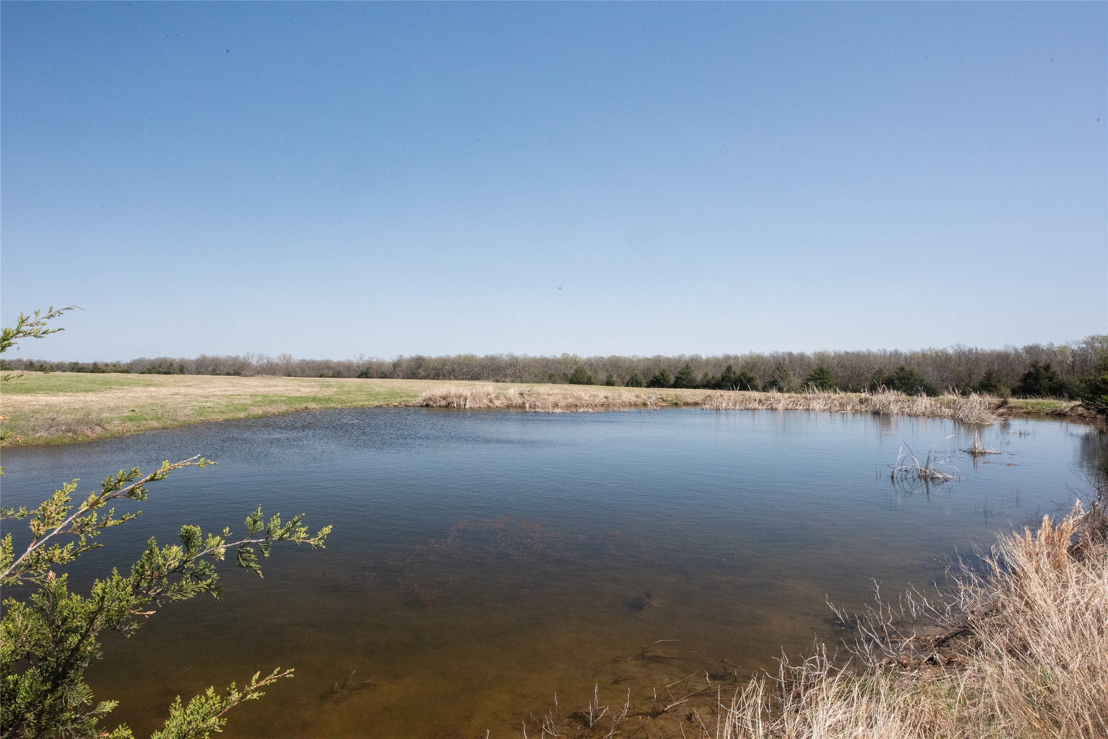 Tbd Lot 1 Cr 824 Honey Grove TX 75446