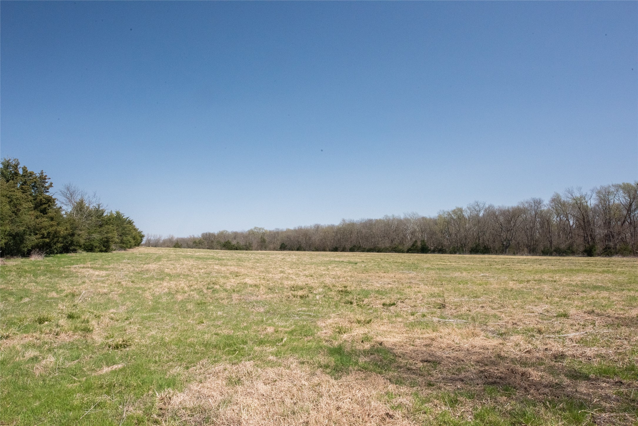 Tbd Lot 1 Cr 824 Honey Grove TX 75446
