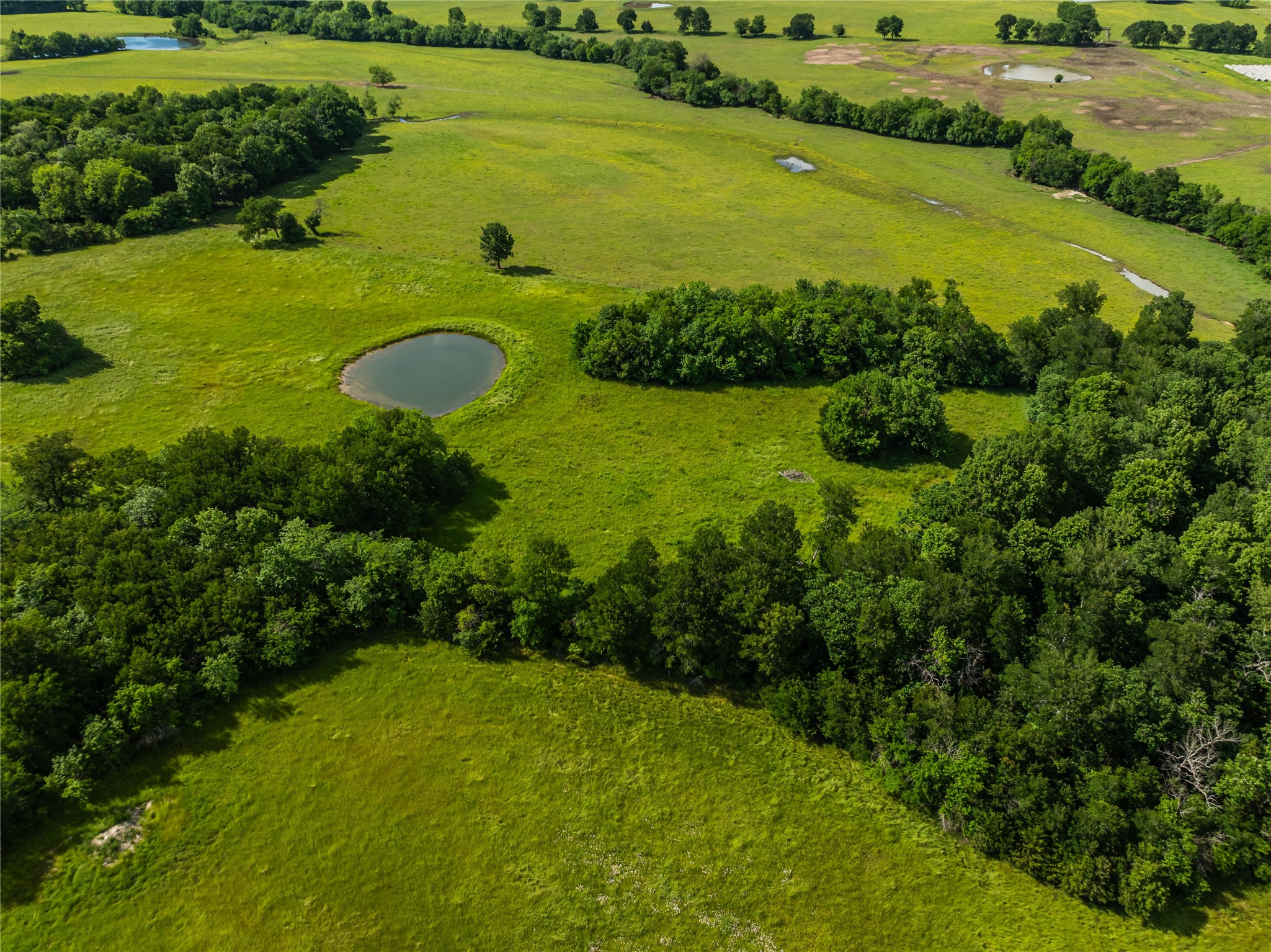 Tbd County Road 12200 Paris TX 75462