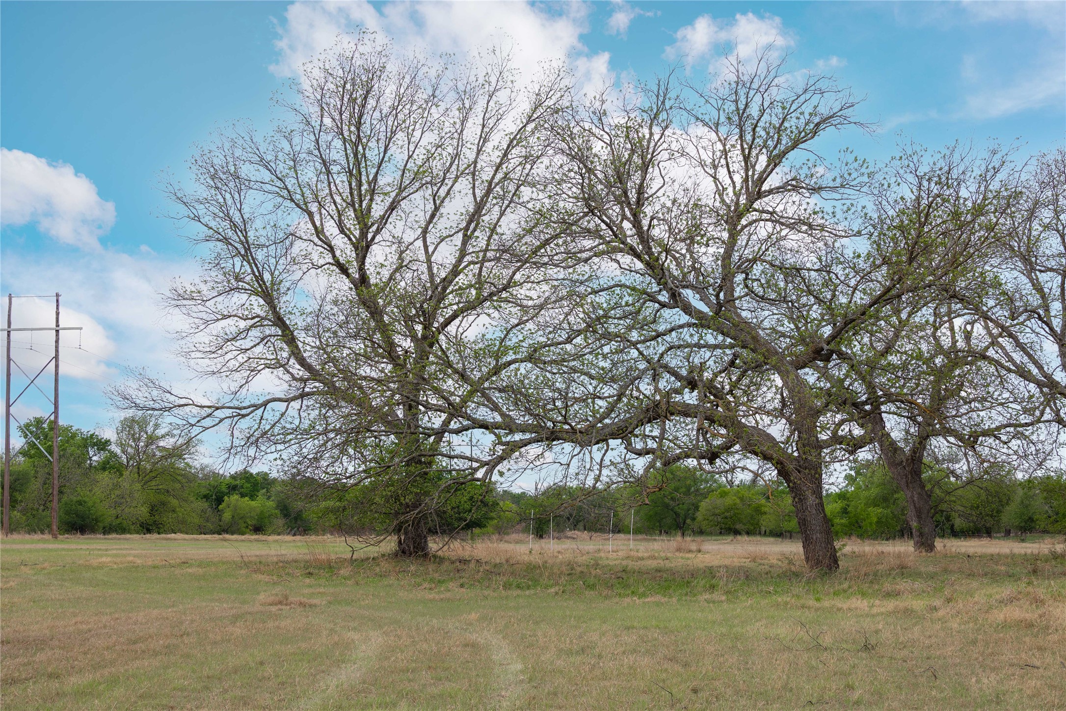 2030 Fm 2525 Early TX 76802