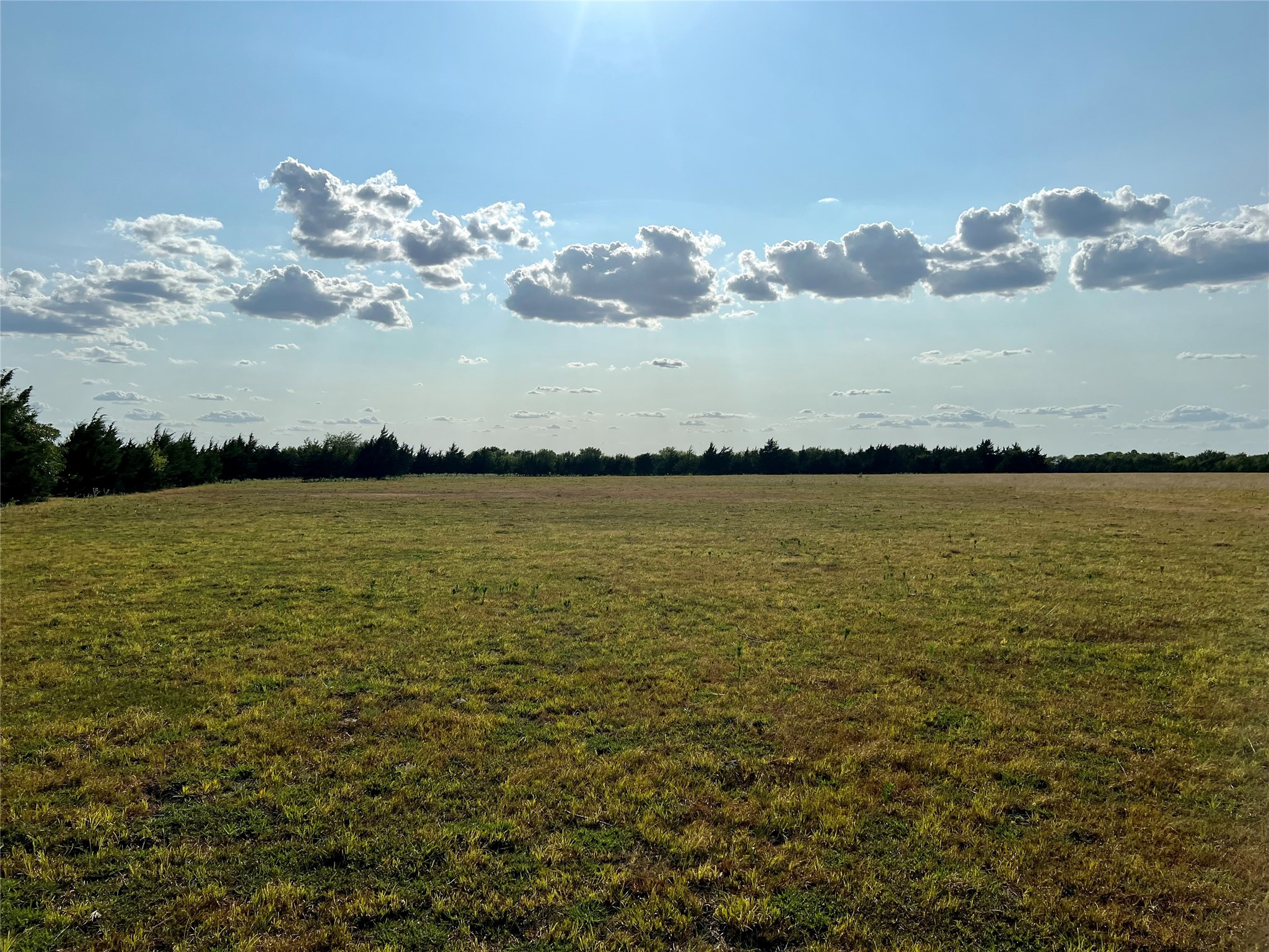 Lot 2 Cr 15100 Blossom TX 75416