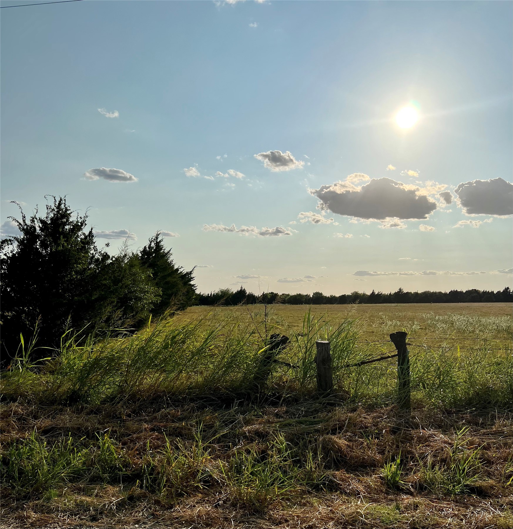 Lot 2 Cr 15100 Blossom TX 75416