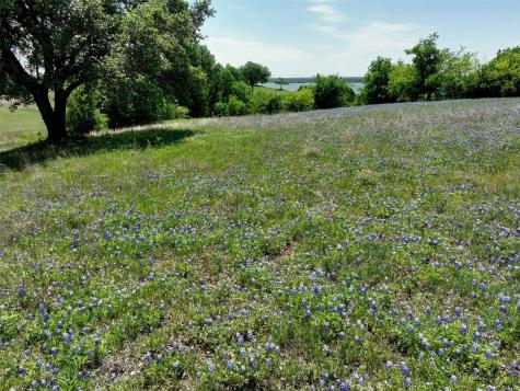 10072 Lakeview Court Whitney TX 76692