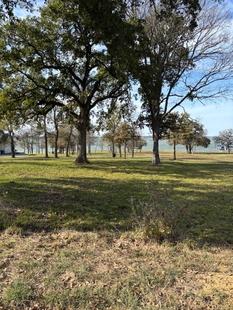9 Captains Court Streetman TX 75859