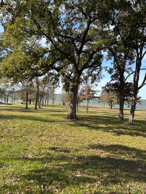 9 Captains Court Streetman TX 75859