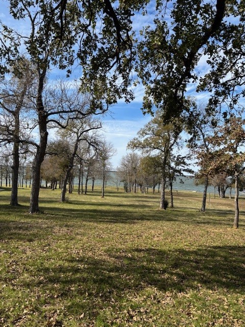9 Captains Court Streetman TX 75859