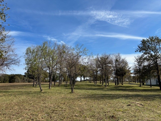 9 Captains Court Streetman TX 75859