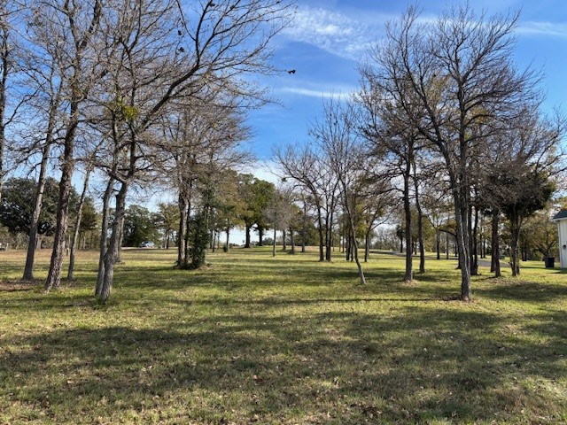 9 Captains Court Streetman TX 75859