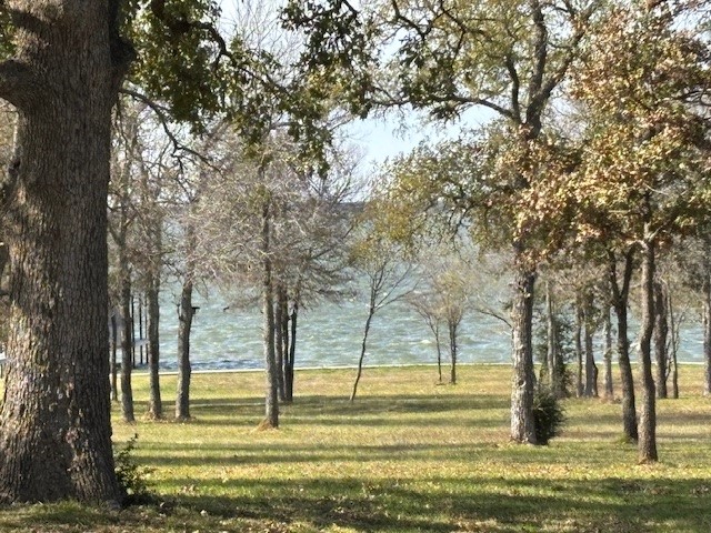 9 Captains Court Streetman TX 75859