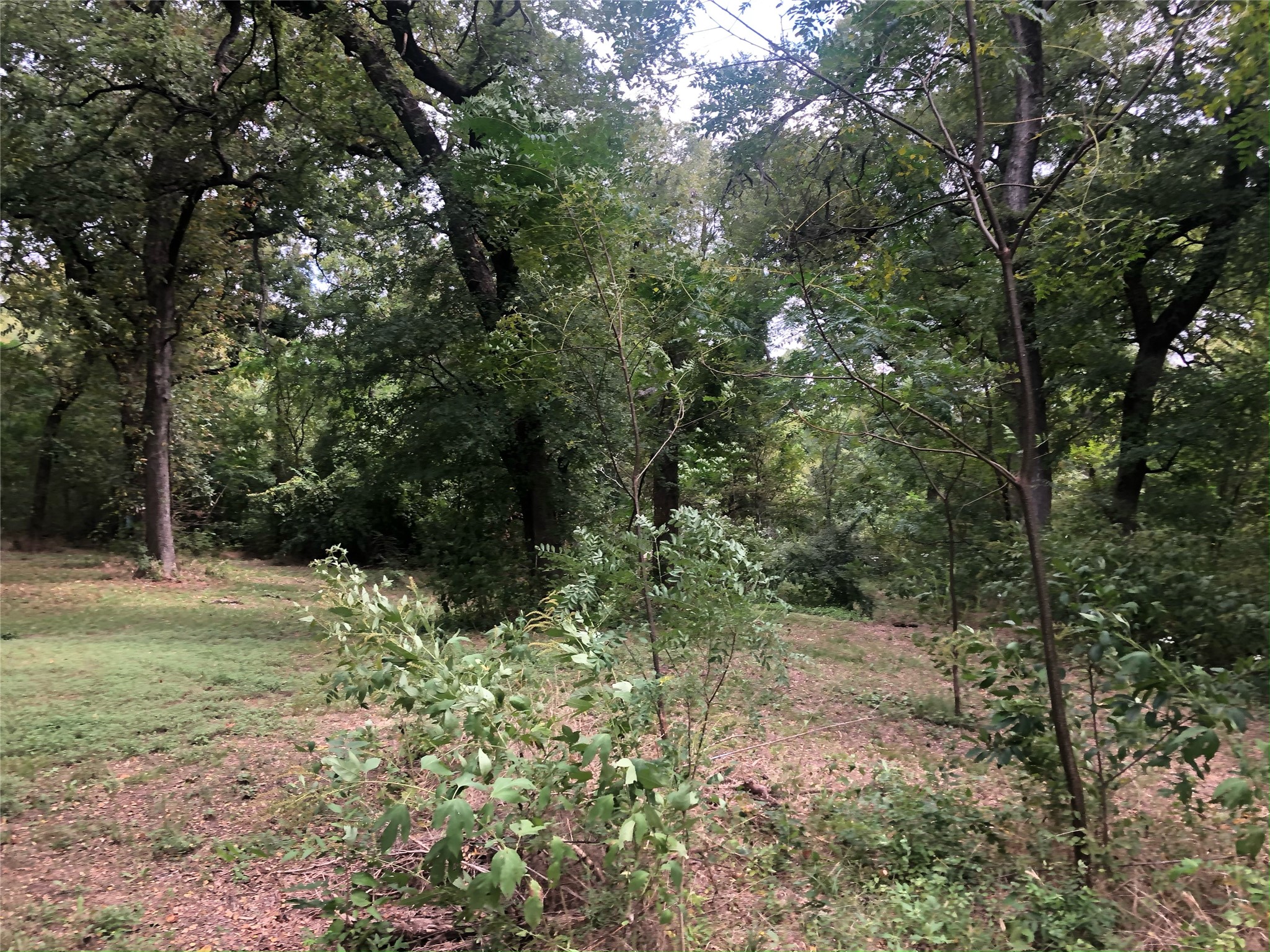 2024 Blue Ridge Drive Cedar Hill TX 75104