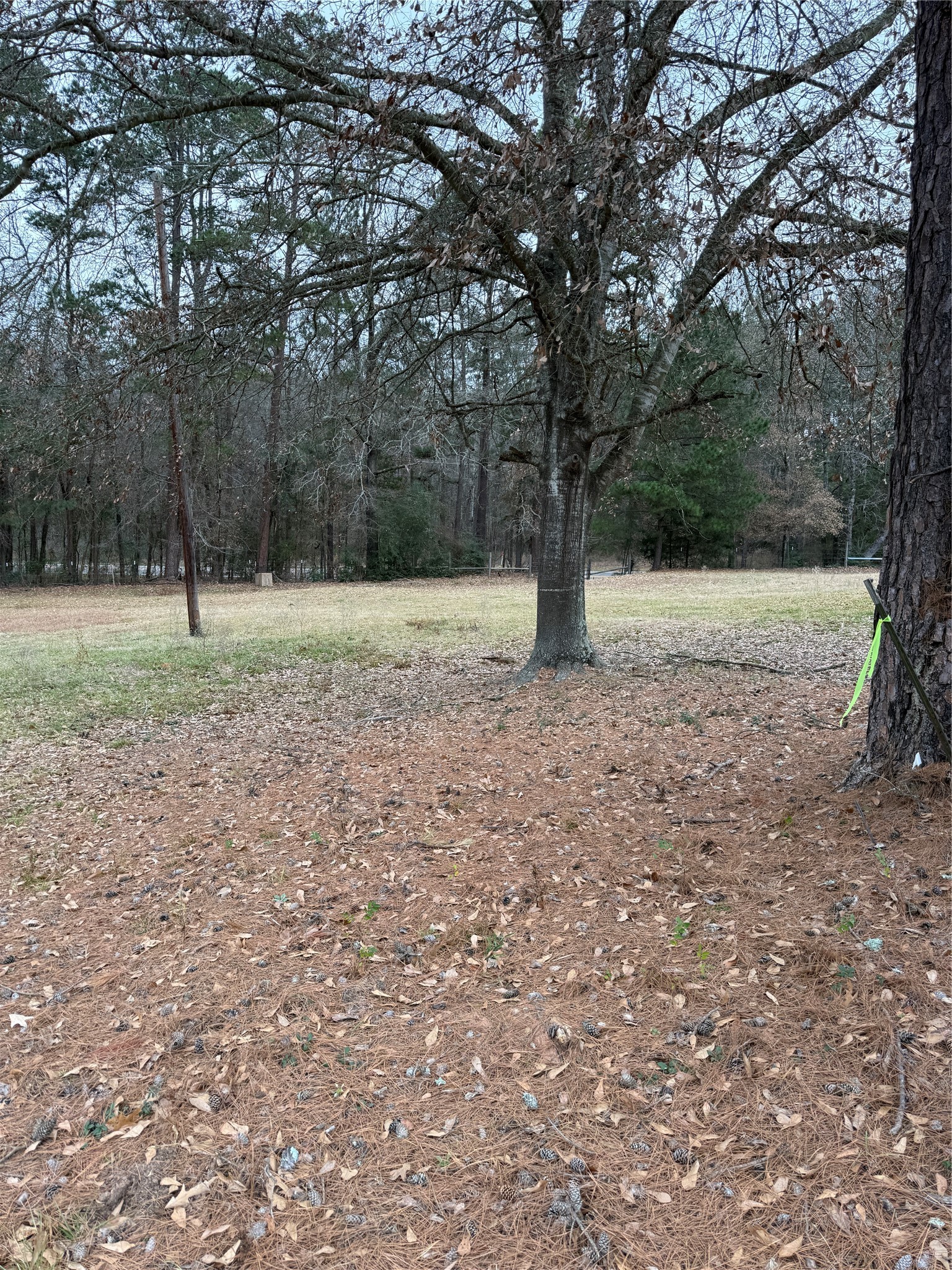 Tbd Fm 2015 Tyler TX 75708