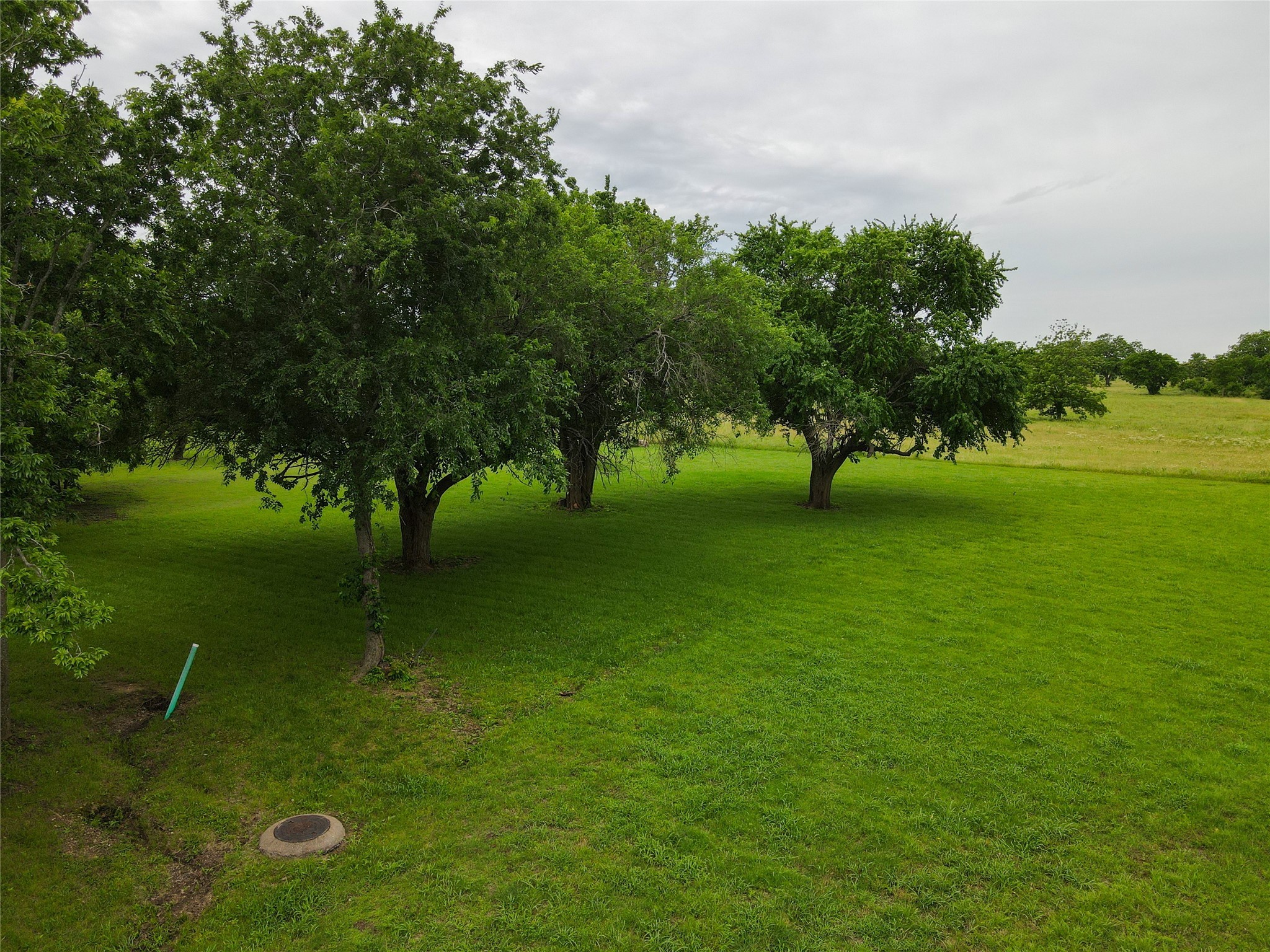 2904 W Washington Street Sherman TX 75092