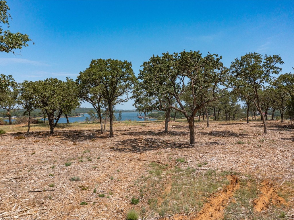 Lot 11 Choate Bowie TX 76230