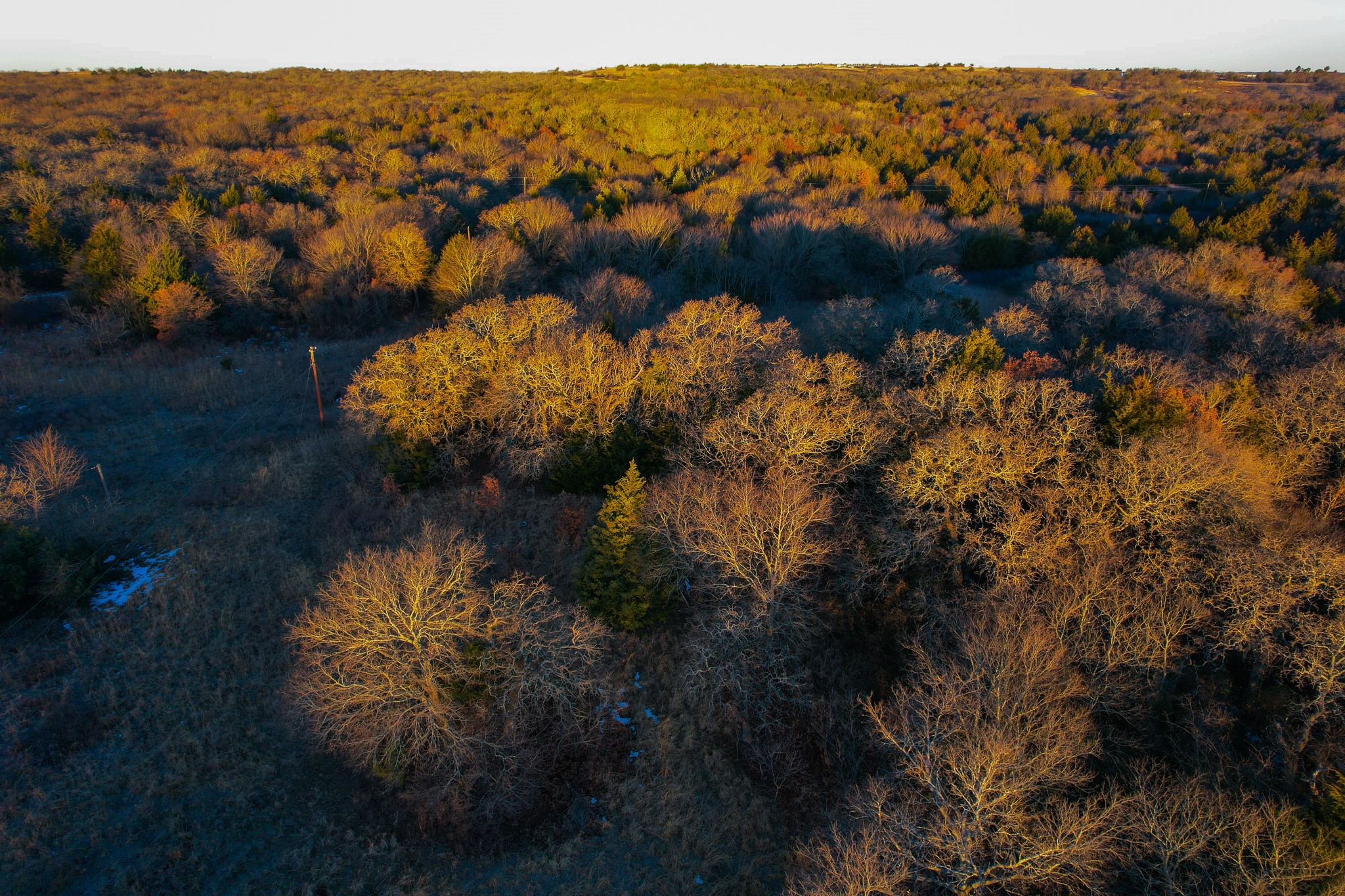 0000 Dye Mound Road Forestburg TX 76239