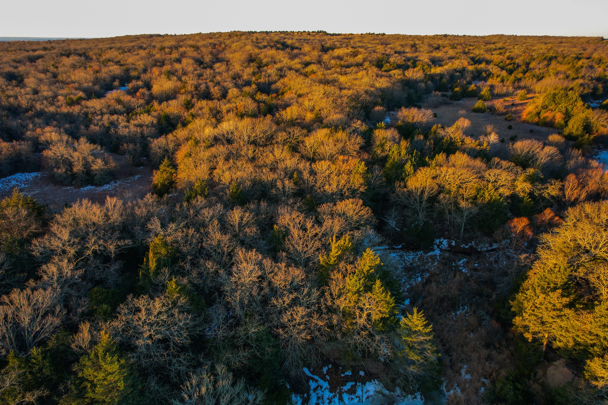 0000 Dye Mound Road Forestburg TX 76239