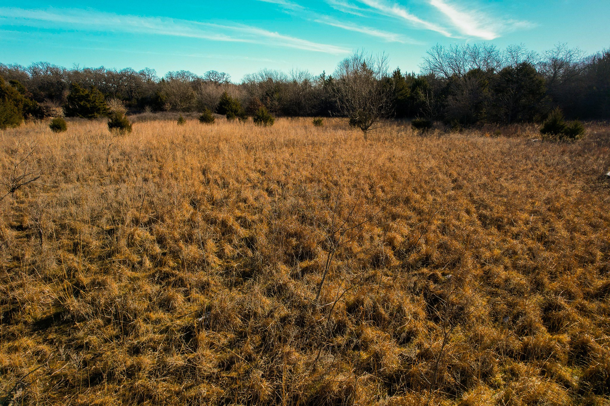 0000 Dye Mound Road Forestburg TX 76239