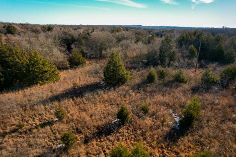 0000 Dye Mound Road Forestburg TX 76239