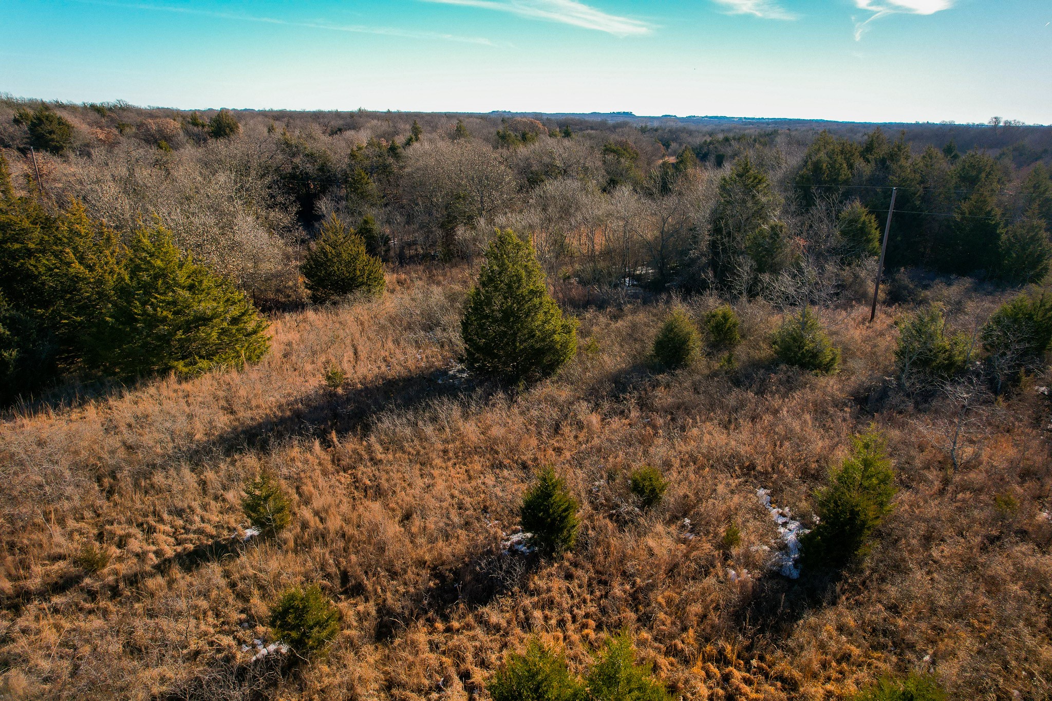0000 Dye Mound Road Forestburg TX 76239