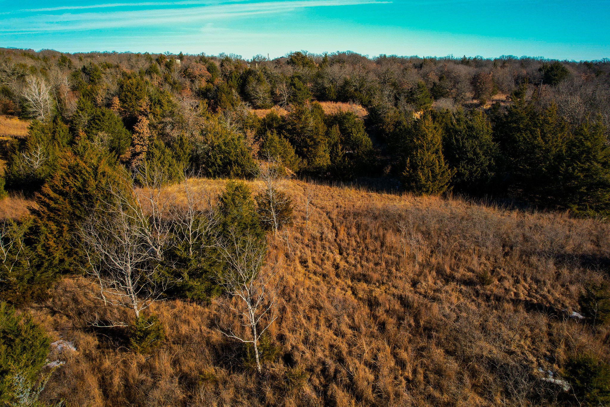0000 Dye Mound Road Forestburg TX 76239