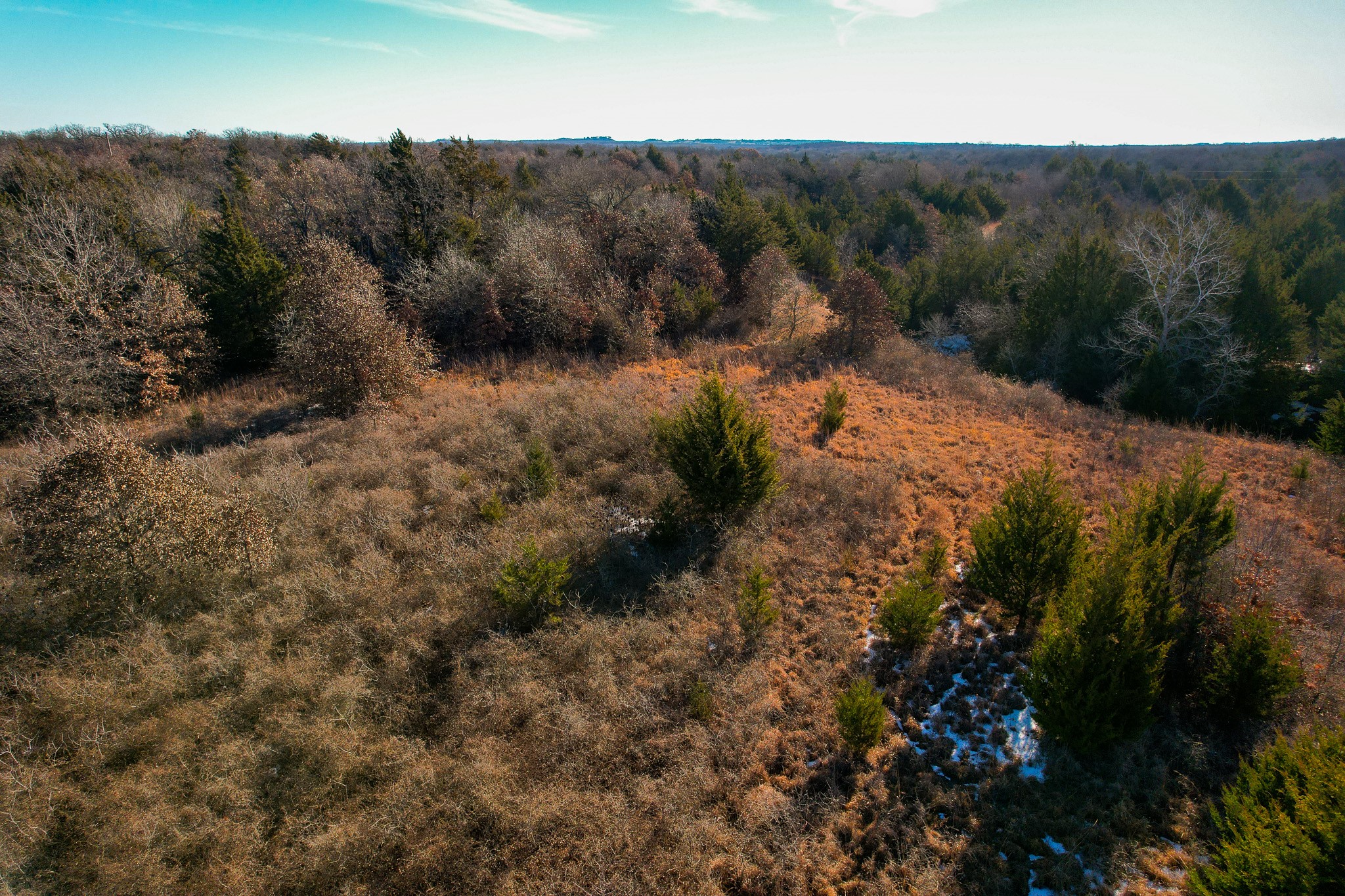 0000 Dye Mound Road Forestburg TX 76239