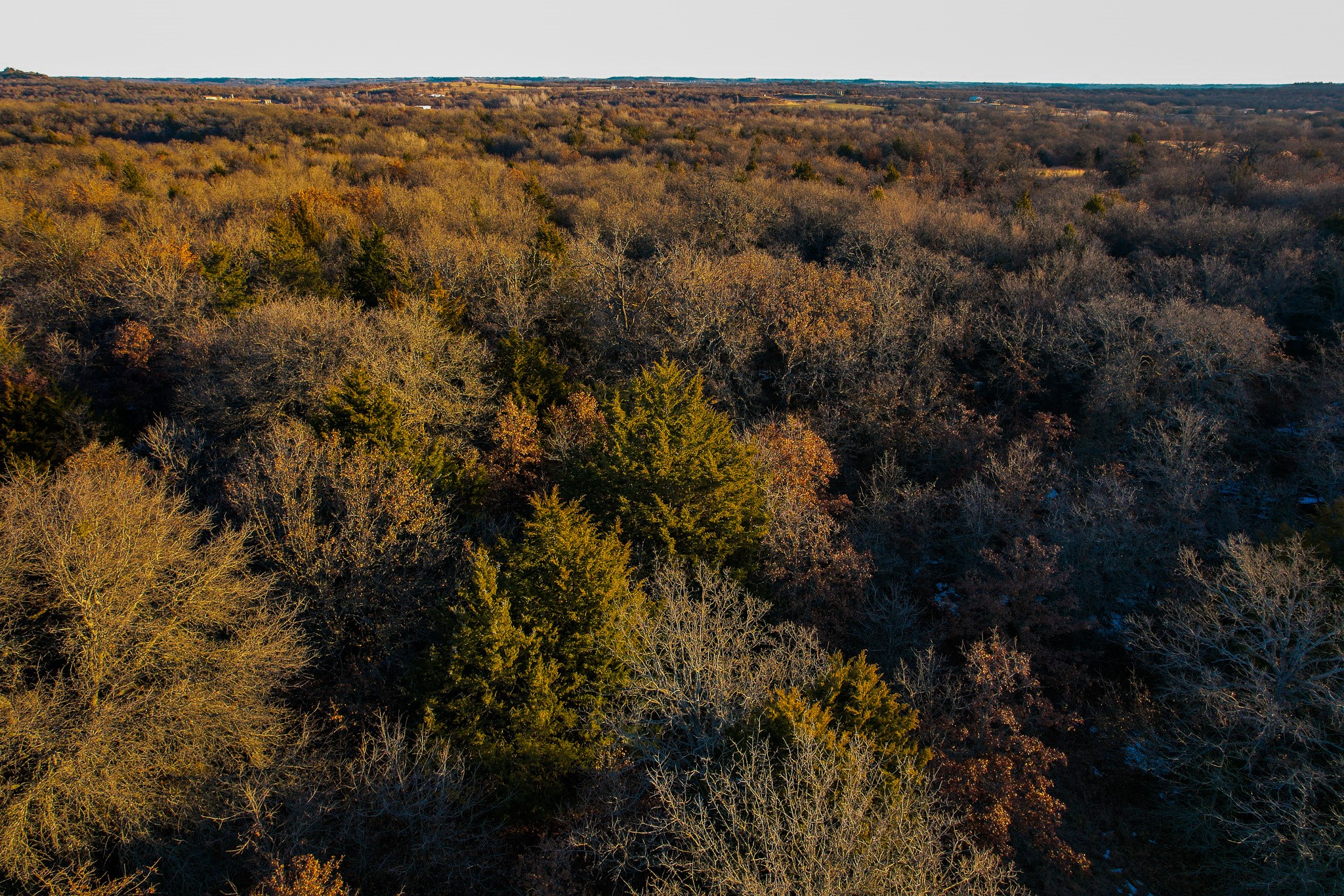0000 Dye Mound Road Forestburg TX 76239