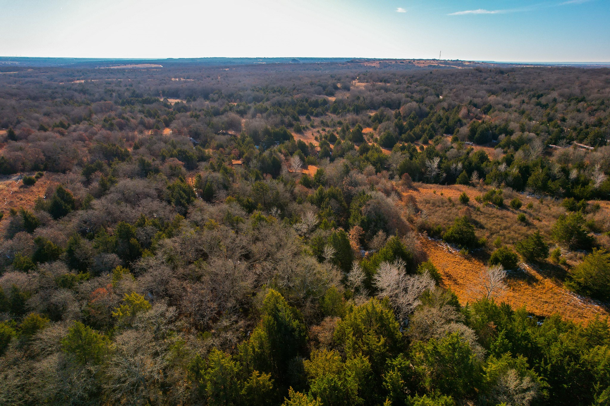 0000 Dye Mound Road Forestburg TX 76239
