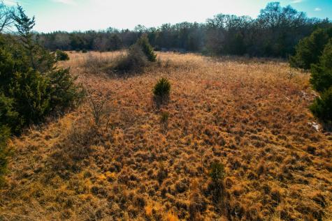 0000 Dye Mound Road Forestburg TX 76239