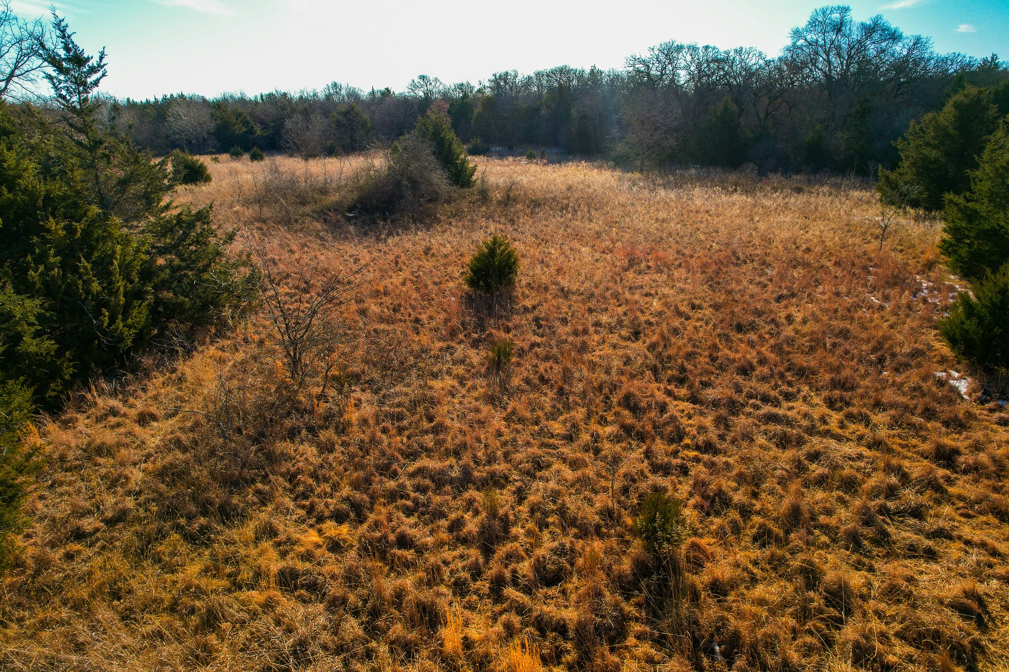 0000 Dye Mound Road Forestburg TX 76239