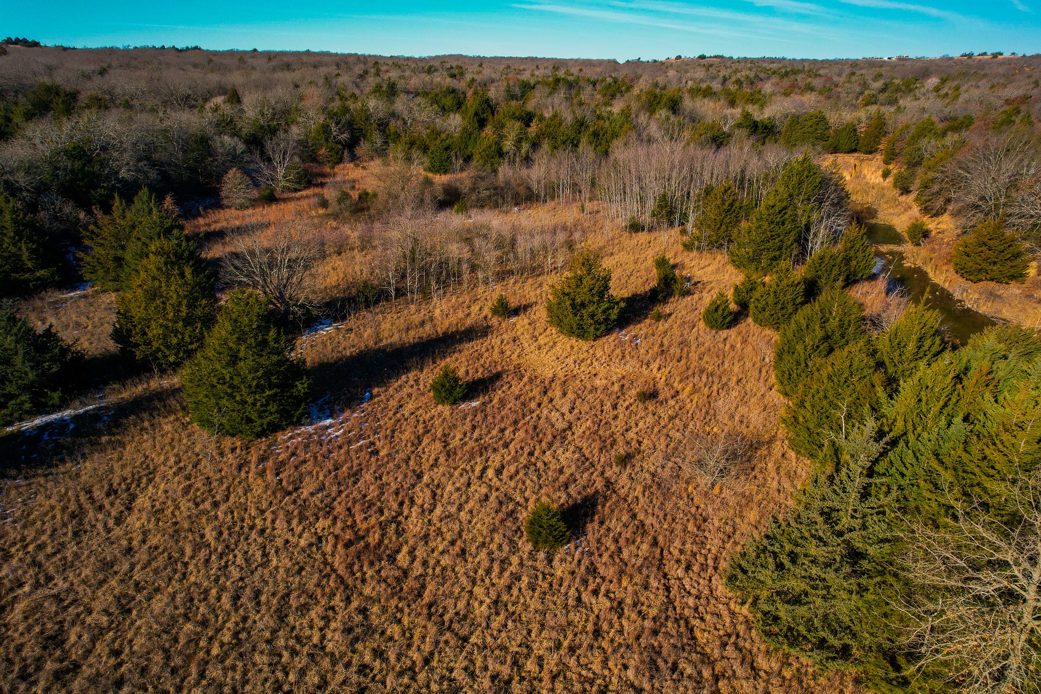 0000 Dye Mound Road Forestburg TX 76239