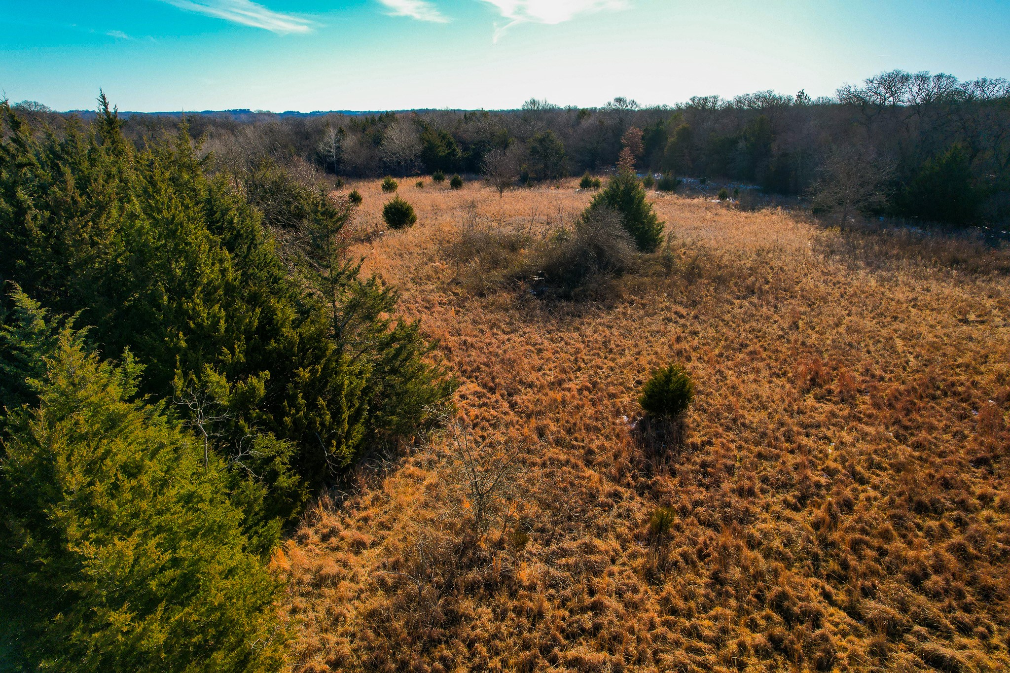 0000 Dye Mound Road Forestburg TX 76239