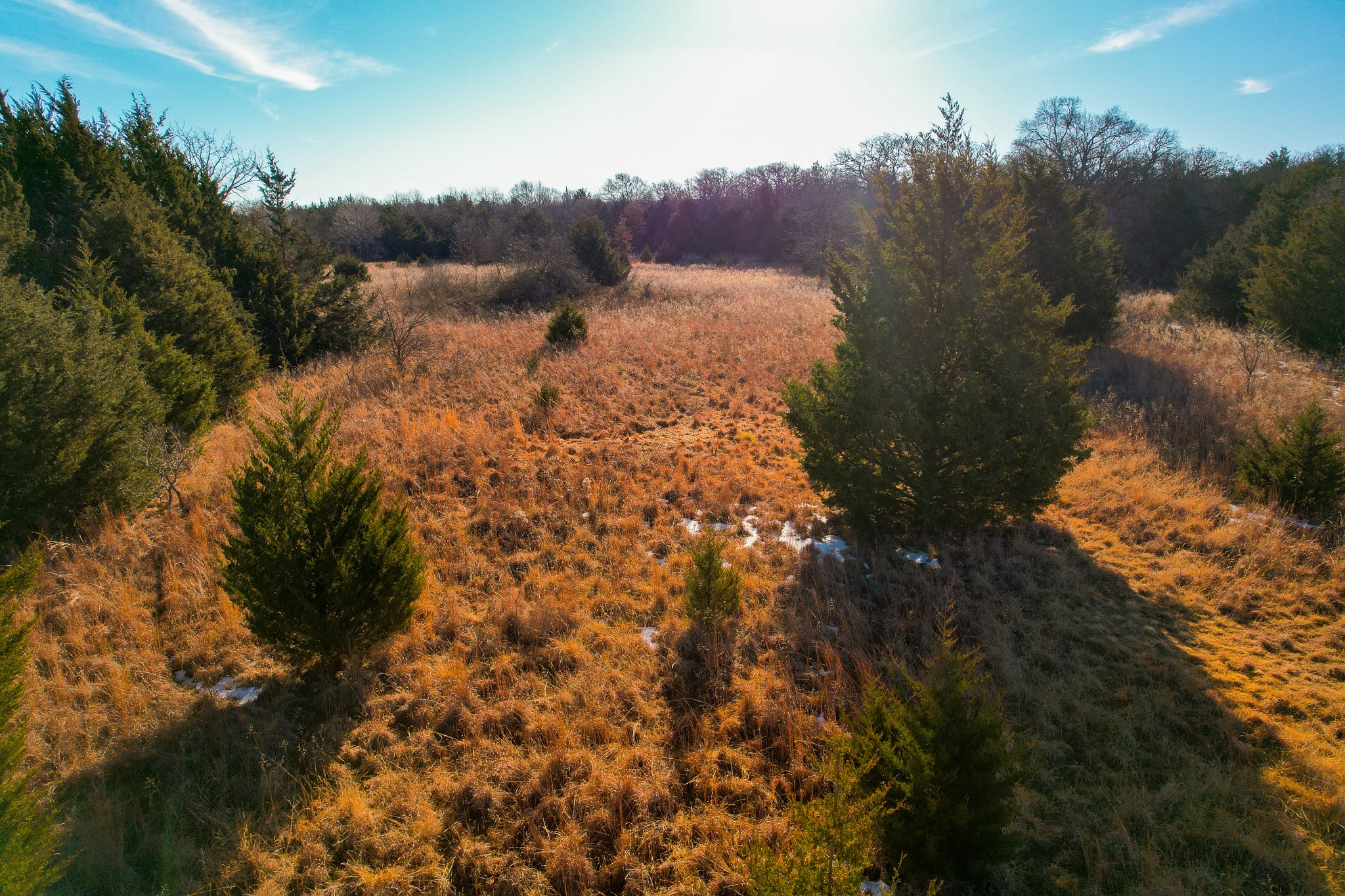0000 Dye Mound Road Forestburg TX 76239