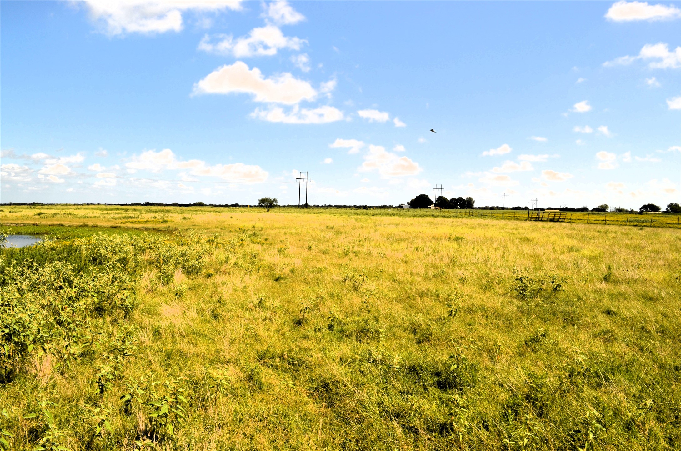 000 Tarlton Road Mabank TX 75147