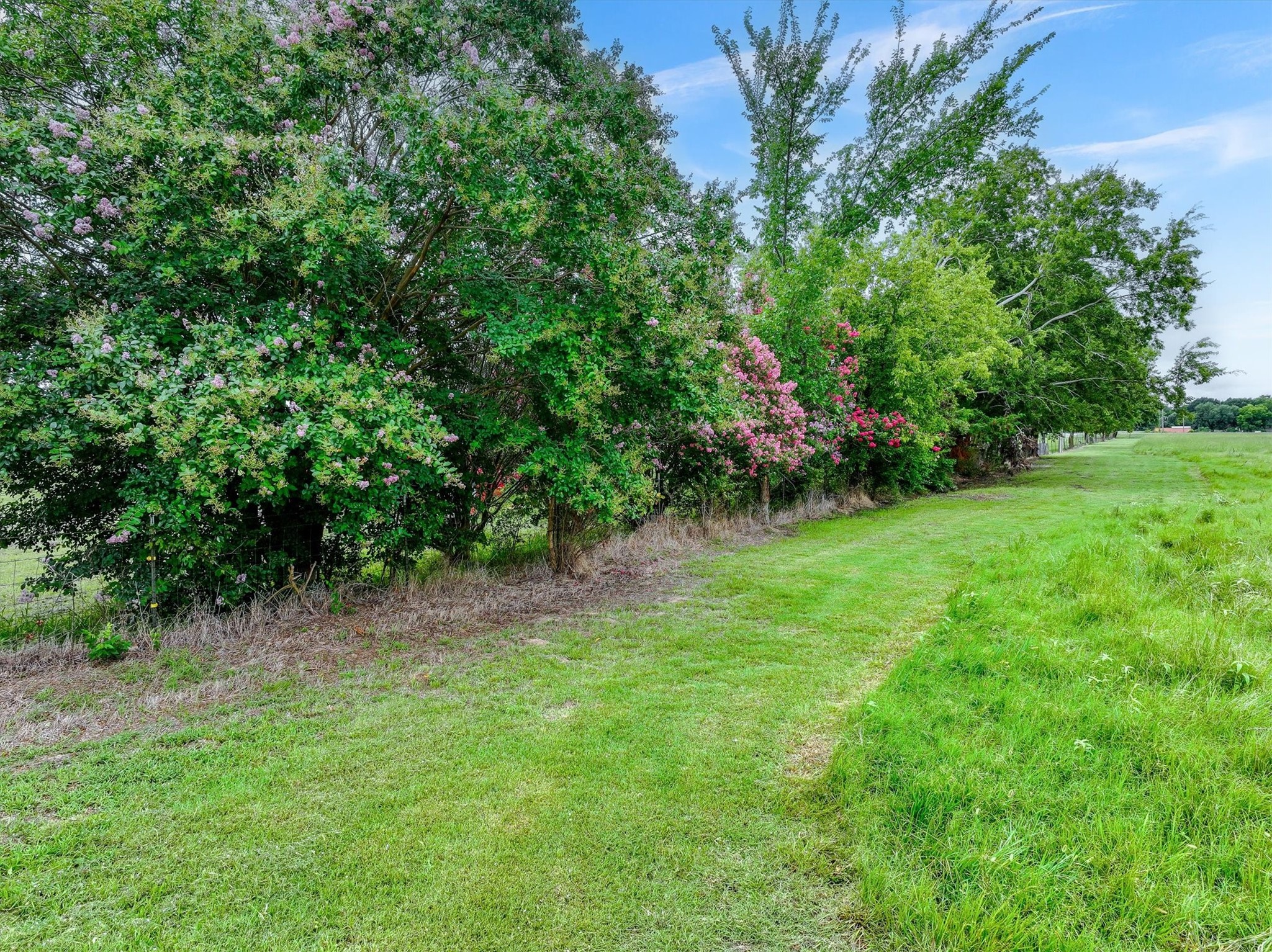 Lot 2-b Fm Road 1565 Poetry TX 75160