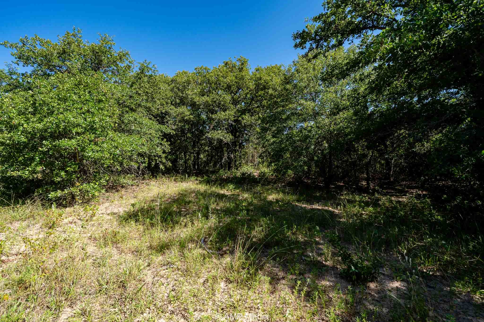 0000 County Road 240 Rising Star TX 76471