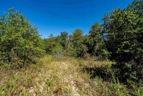 0000 County Road 240 Rising Star TX 76471