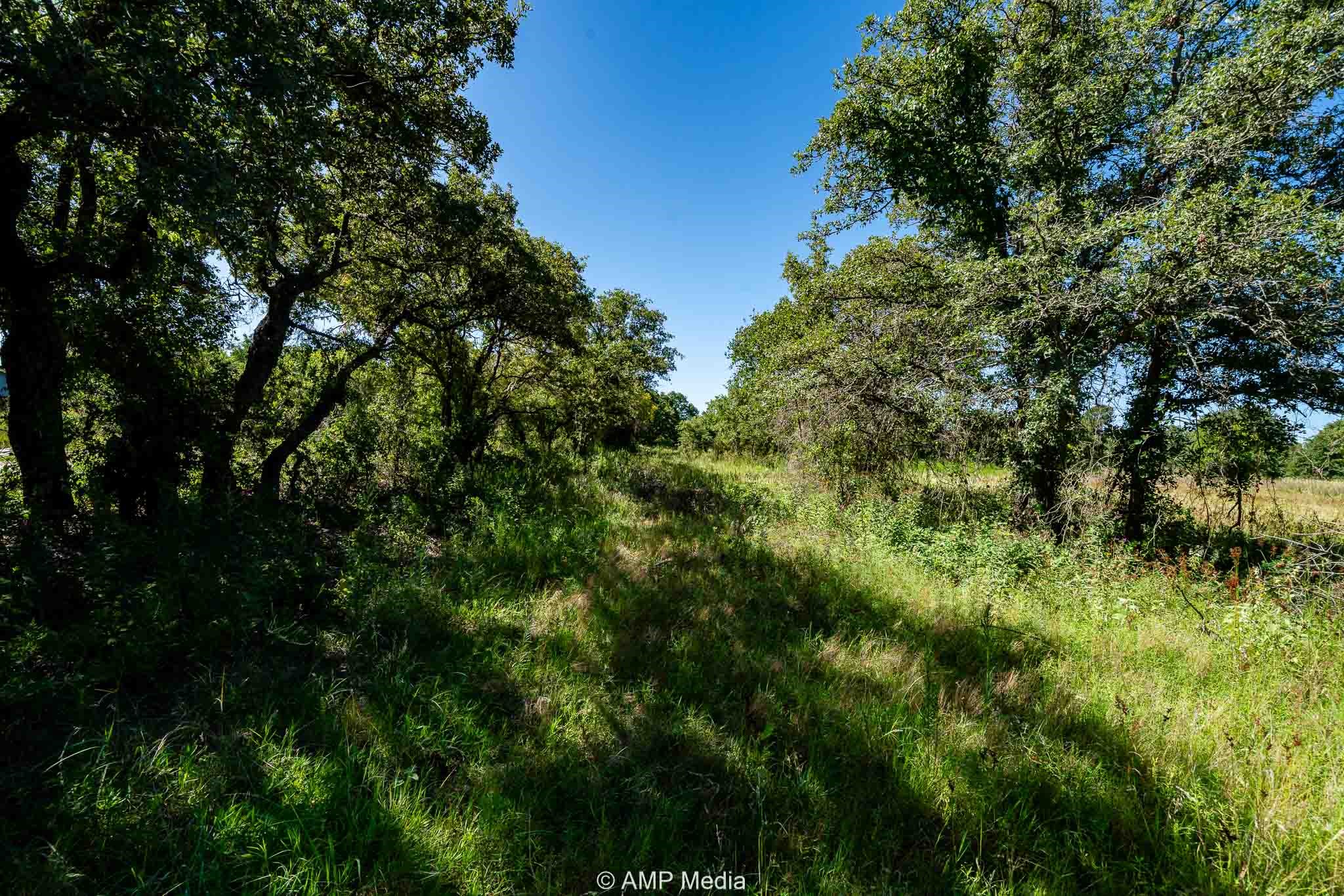0000 County Road 240 Rising Star TX 76471