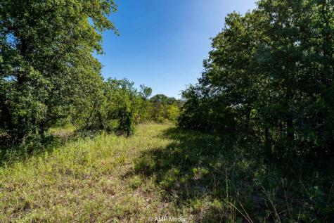 0000 County Road 240 Rising Star TX 76471