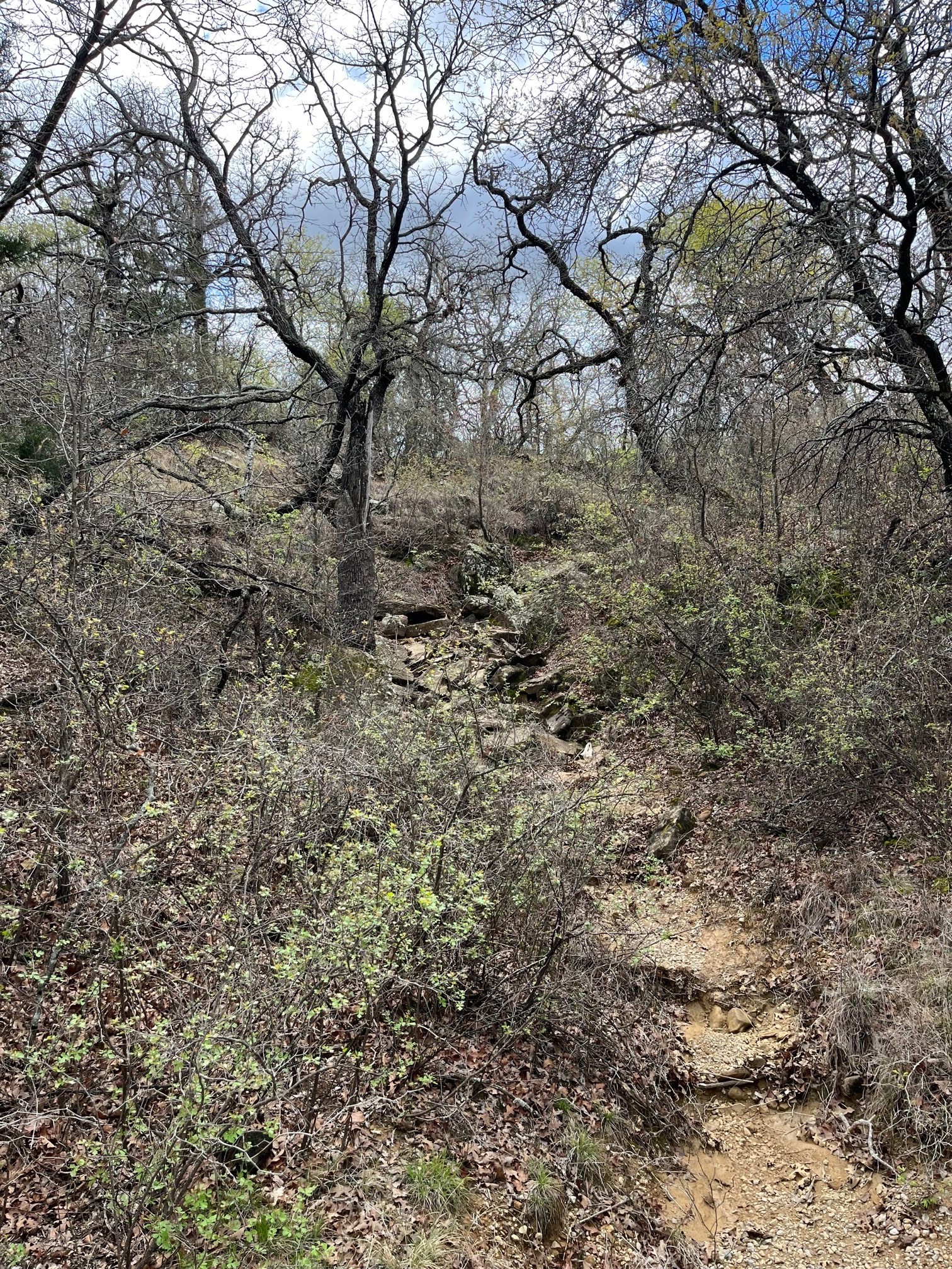 West 17 Ac Burwick Road Jacksboro TX 76458