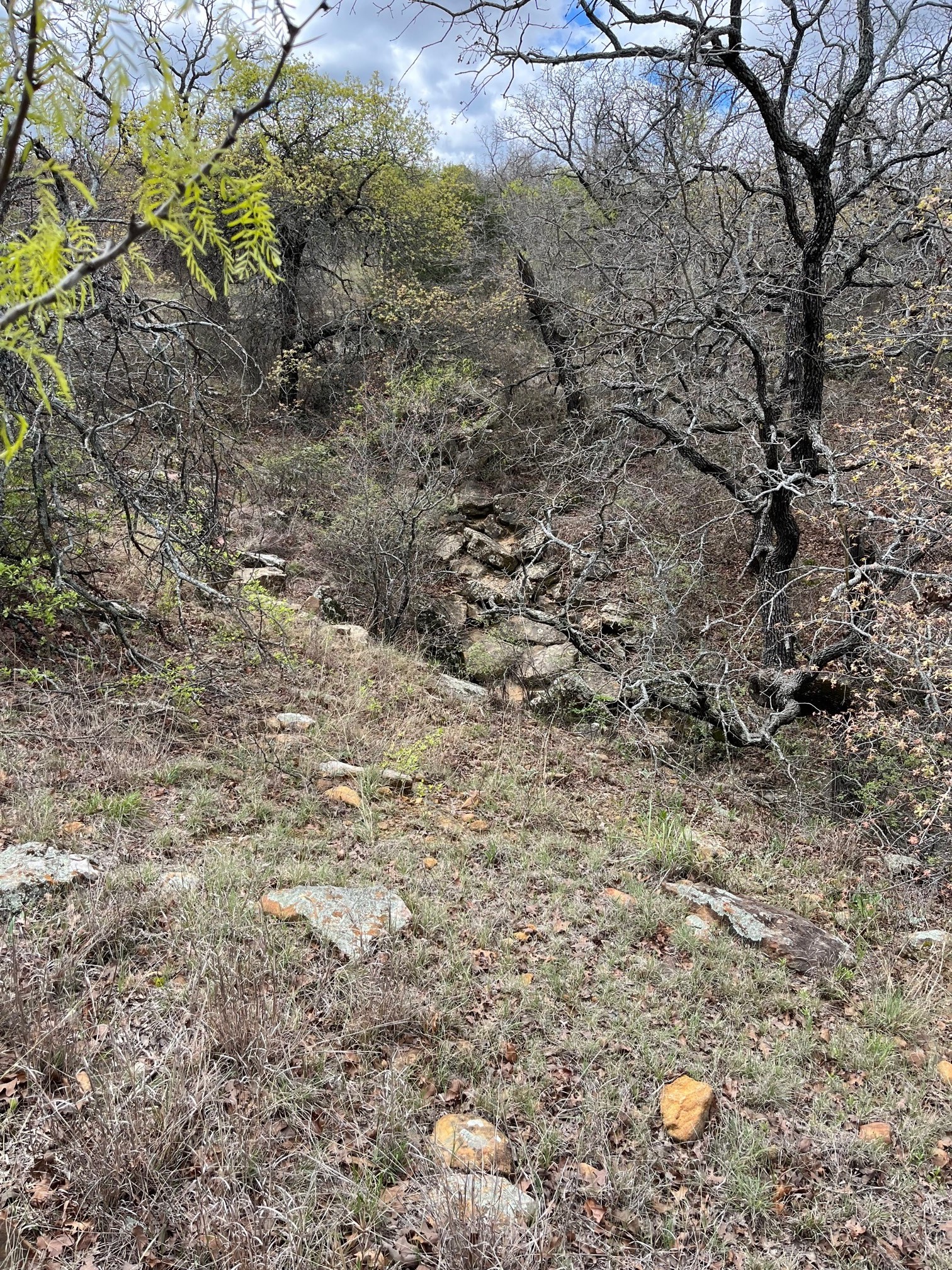 West 17 Ac Burwick Road Jacksboro TX 76458