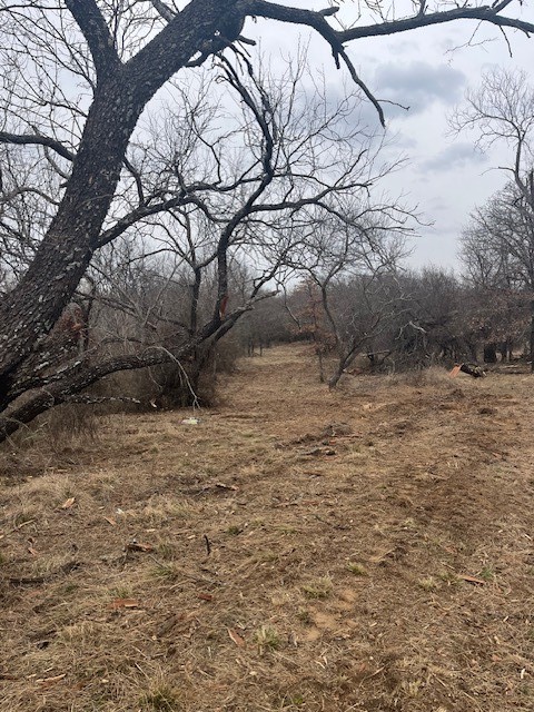 West 17 Ac Burwick Road Jacksboro TX 76458