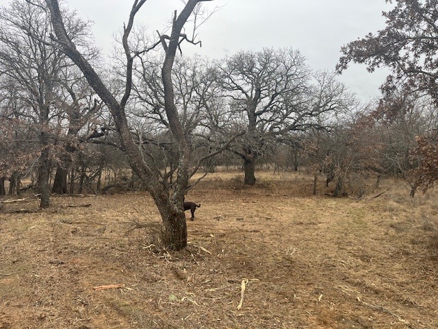 West 17 Ac Burwick Road Jacksboro TX 76458
