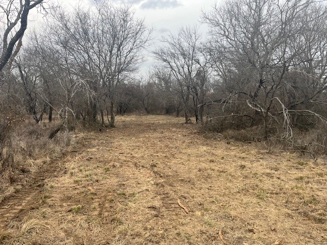 West 17 Ac Burwick Road Jacksboro TX 76458