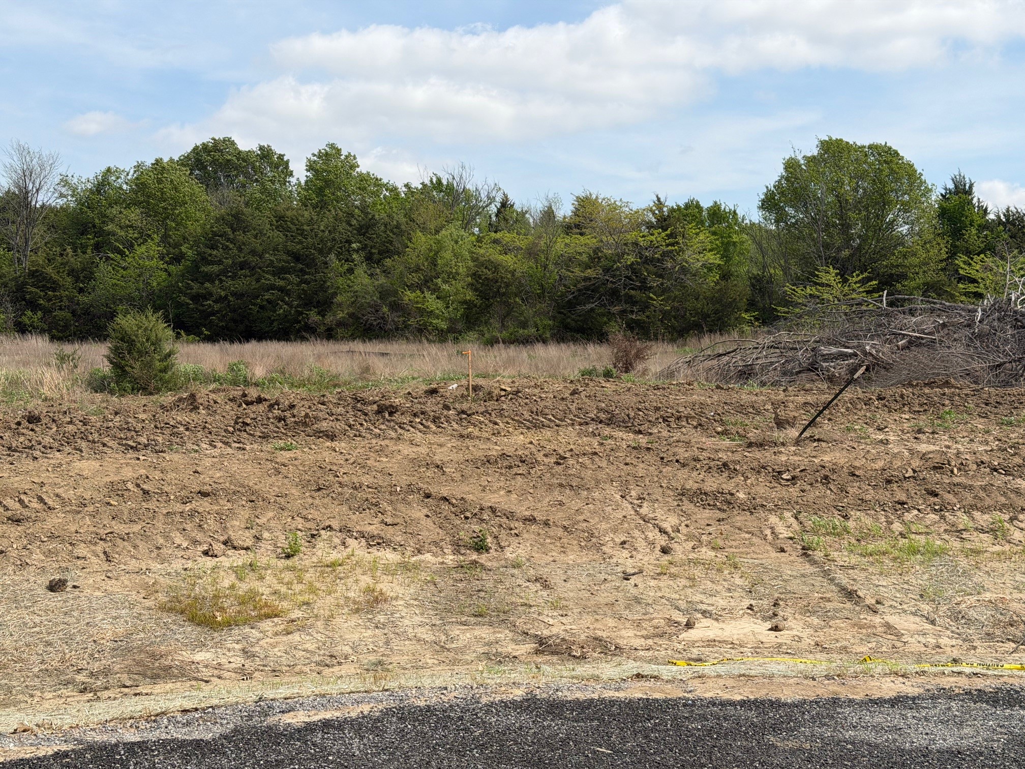 Lot 13 County Road 1110 Farmersville TX 75442
