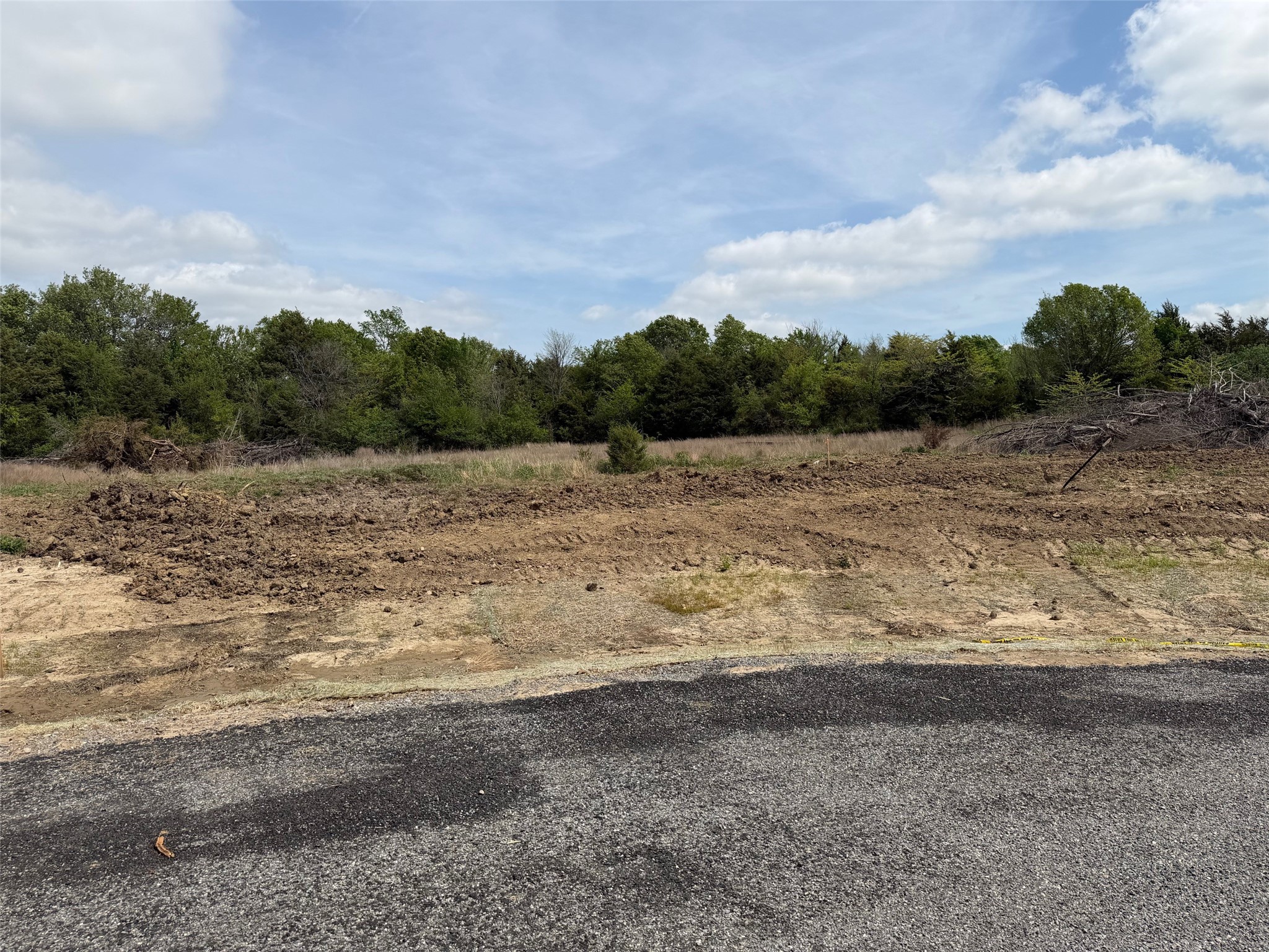 Lot 13 County Road 1110 Farmersville TX 75442