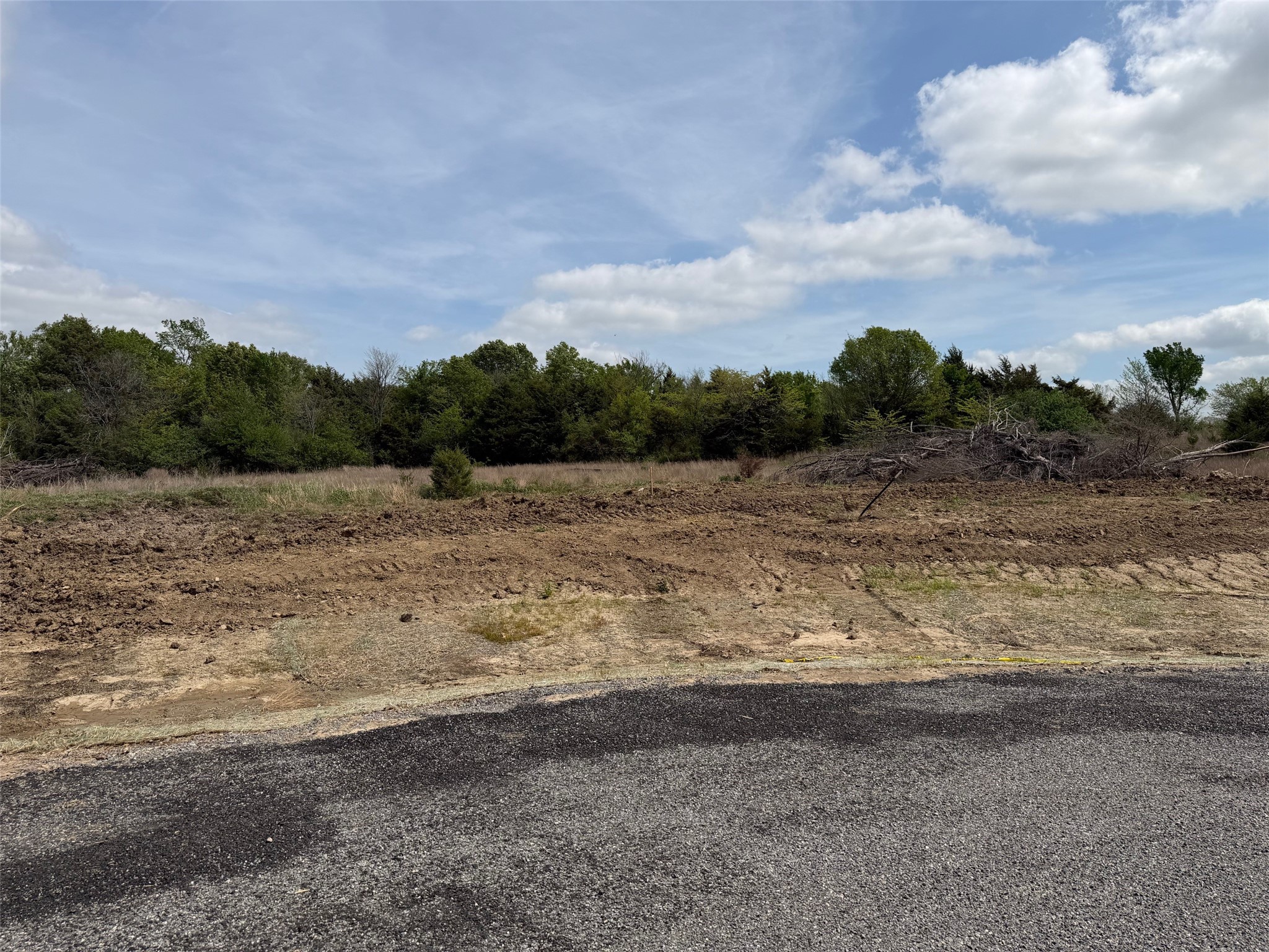 Lot 13 County Road 1110 Farmersville TX 75442