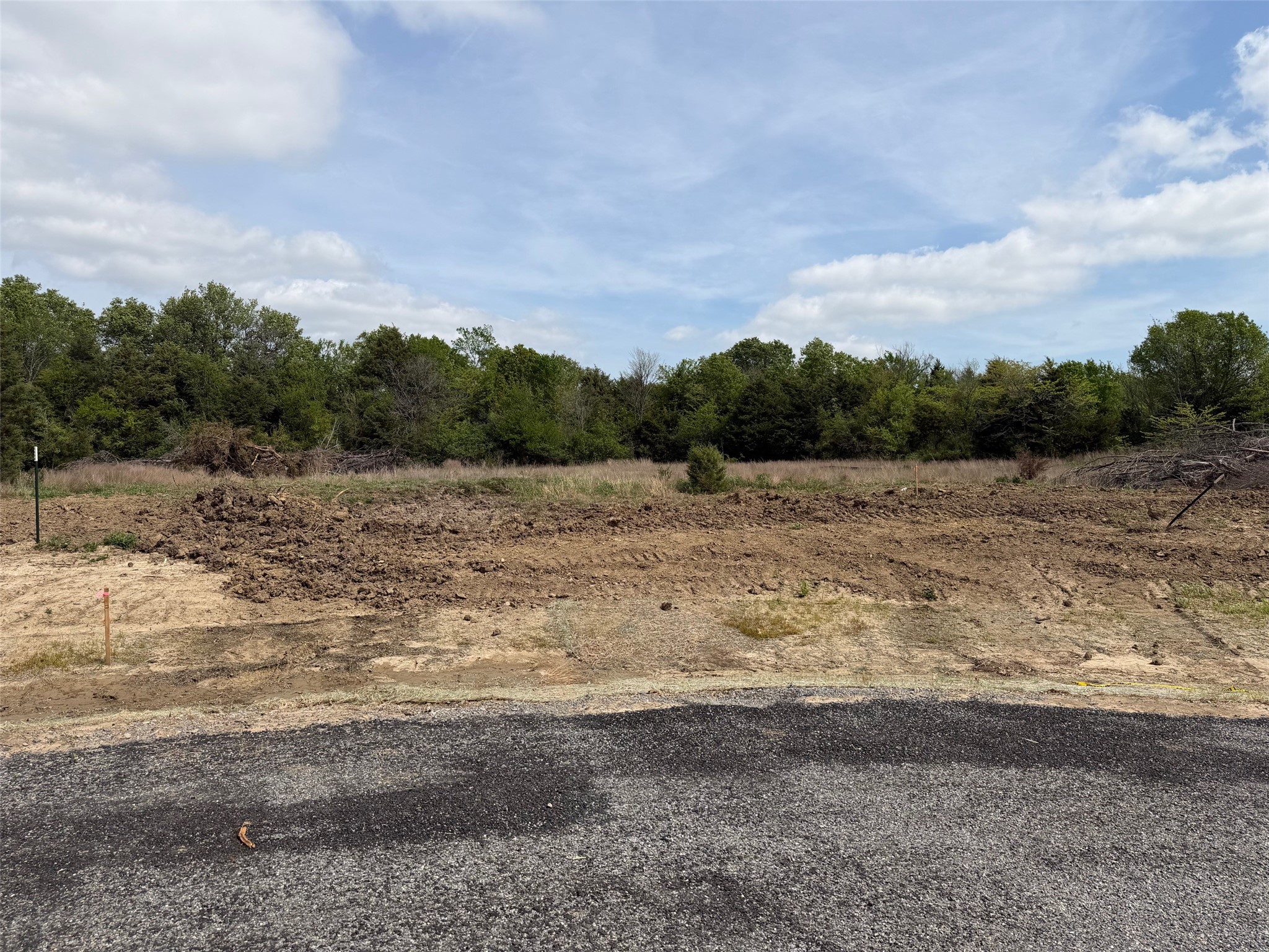 Lot 13 County Road 1110 Farmersville TX 75442