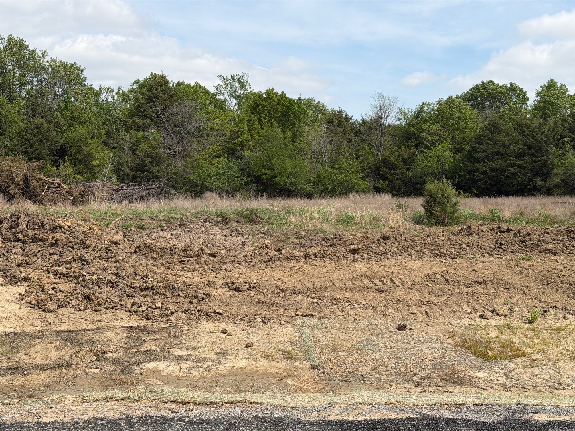Lot 13 County Road 1110 Farmersville TX 75442